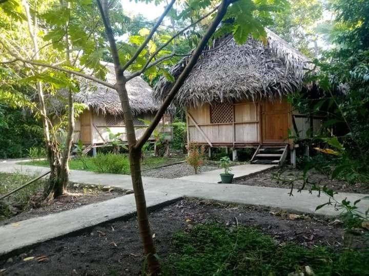 Casa Maya Lívingston Εξωτερικό φωτογραφία