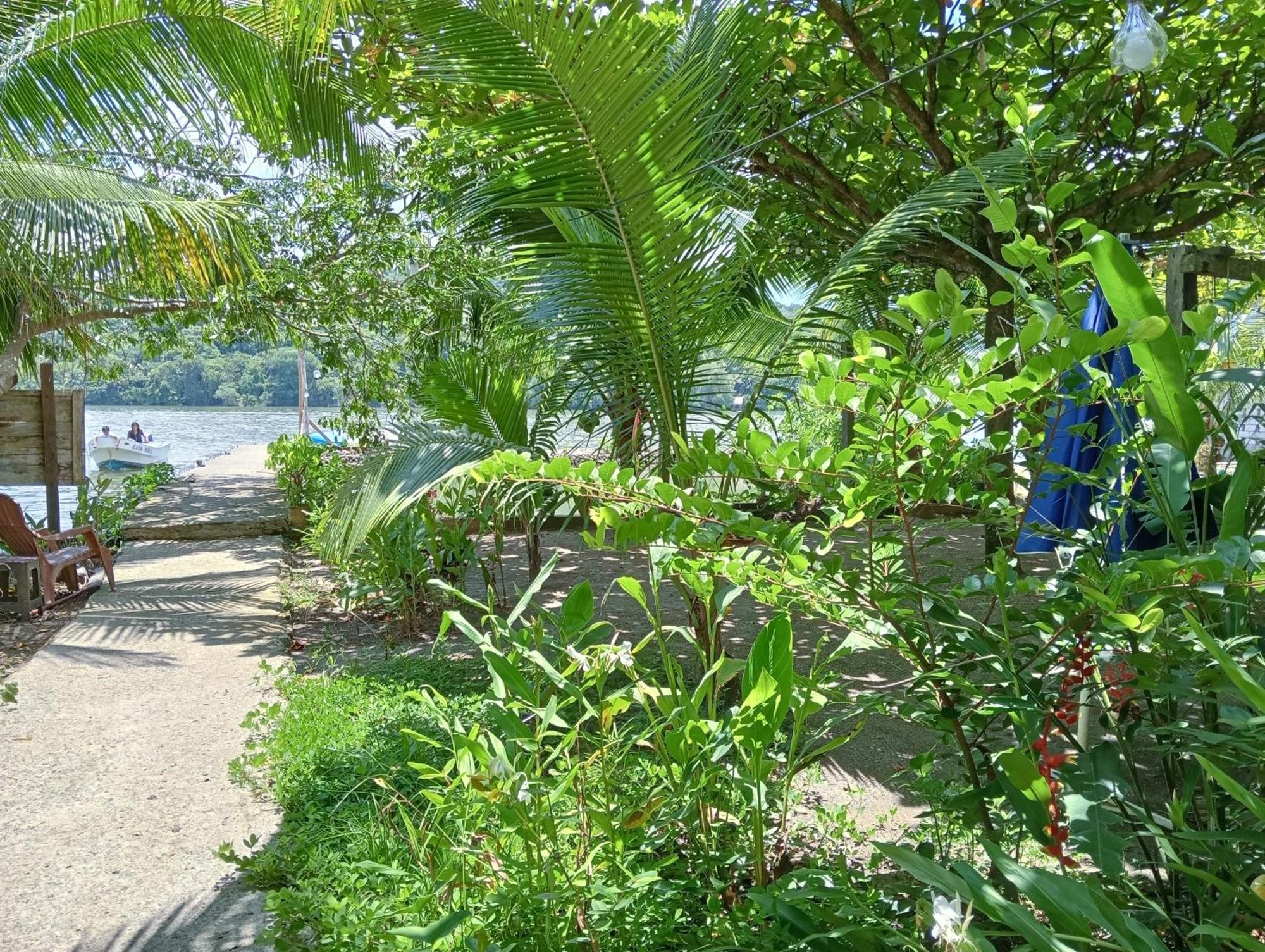 Casa Maya Lívingston Εξωτερικό φωτογραφία